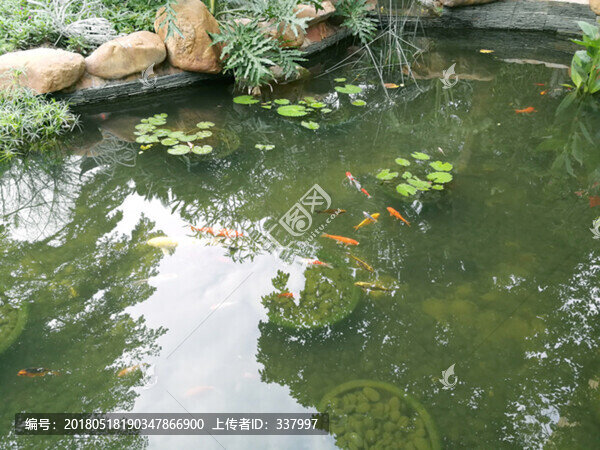 園林景觀