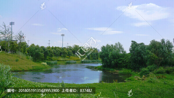 洋湖體育公園