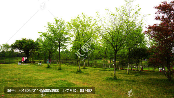 生態(tài)園,風(fēng)光