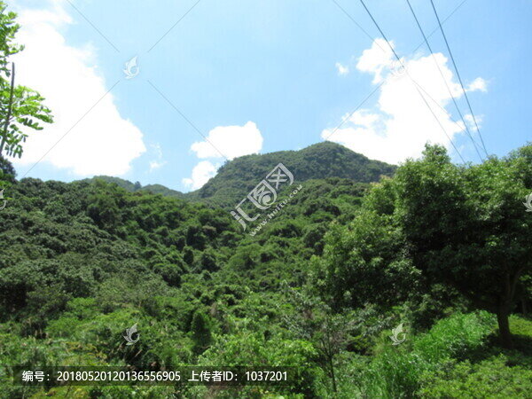 青山
