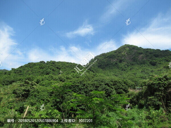 青山