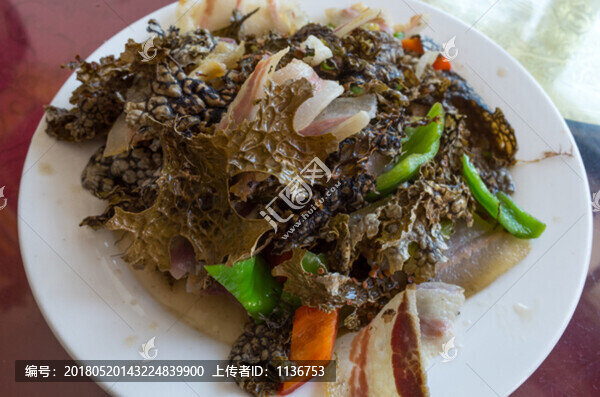 云南樹皮菜