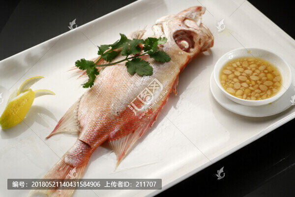 大眼魚