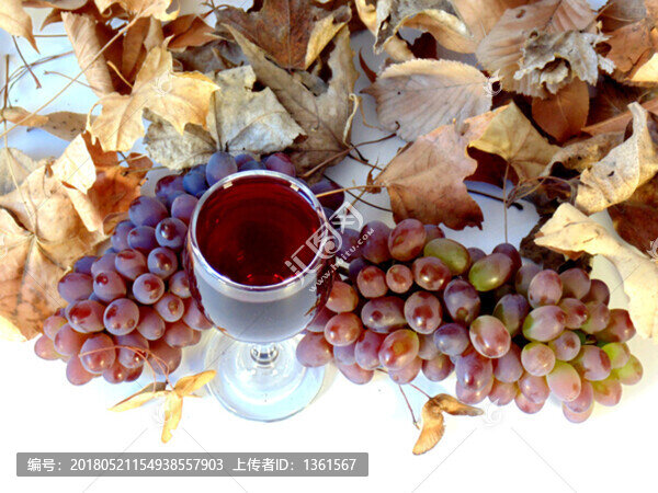 紅酒擺拍