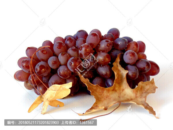 紅提
