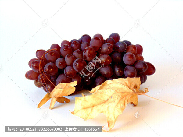 紅提素材