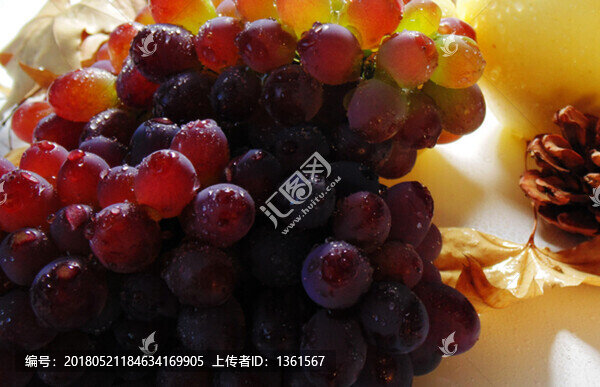 紅提,葡萄圖
