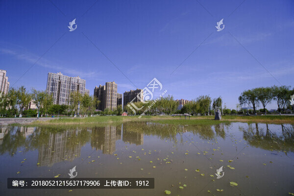 城市綠地