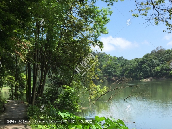 石門國(guó)家森林公園山水風(fēng)景