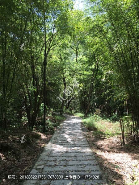 石門(mén)國(guó)家森林公園山水風(fēng)景
