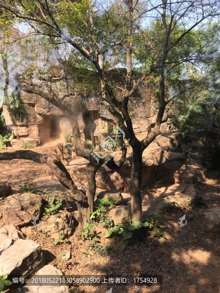 廣州動(dòng)物園