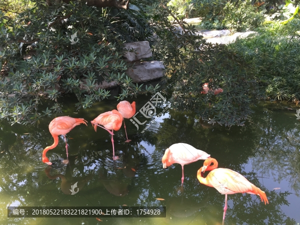 廣州動(dòng)物園鳥