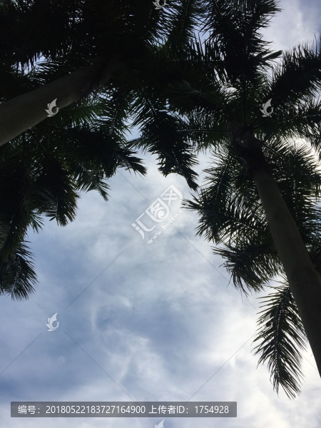 廣州大夫山國家森林公園