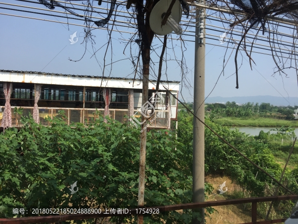 南海平沙島田園風(fēng)景旅游散心