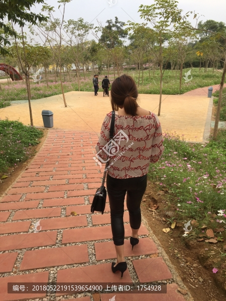 花海田園中的女人背影