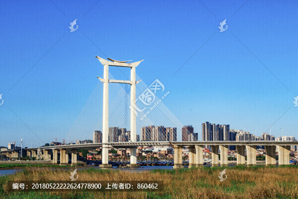 晉江大橋