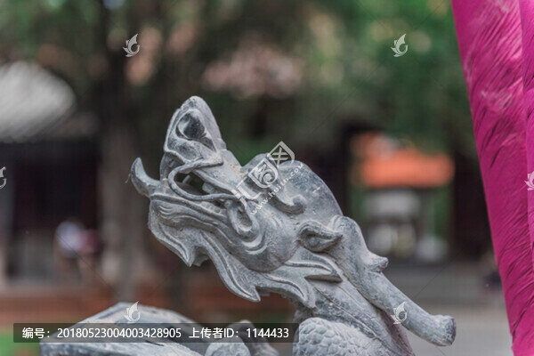龍
