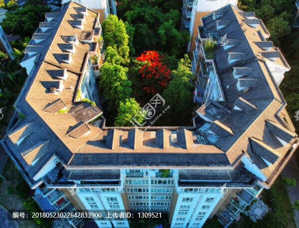 住宅樓