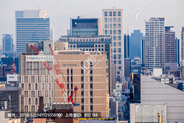 日本大阪