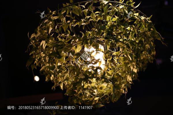 店鋪室內(nèi)燈光
