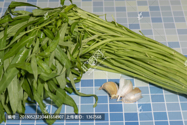 蕹菜,蓊菜,通心菜,空心菜