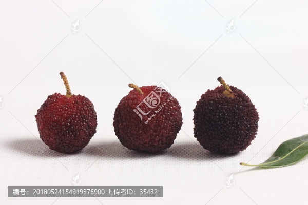 三只楊梅