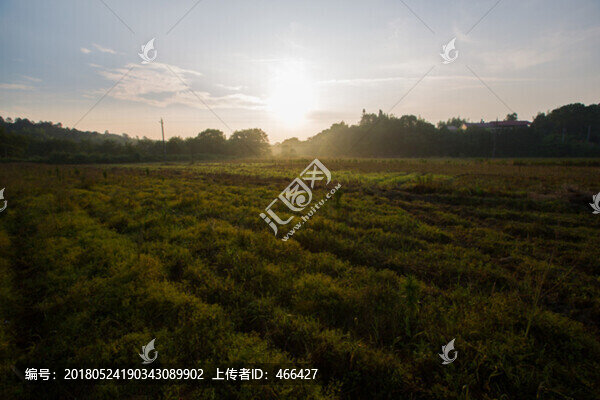 鄉(xiāng)村的早晨日出