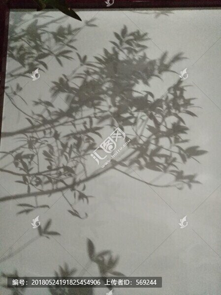 樹(shù)影