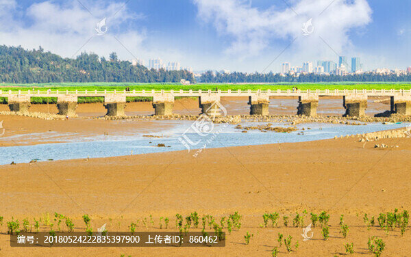 洛陽橋