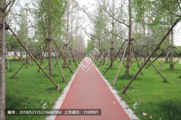 路