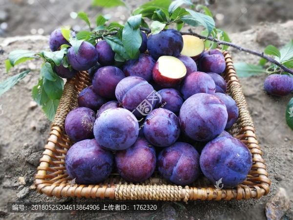 黑布林李子藍寶石
