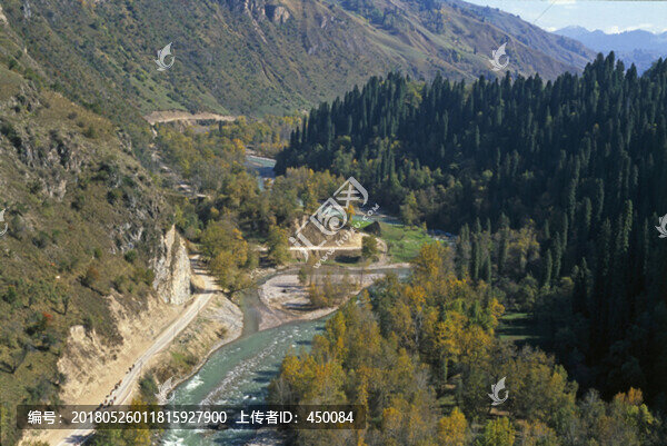 山區(qū)林場(chǎng)