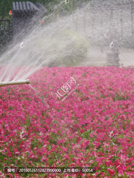花圃,噴灌