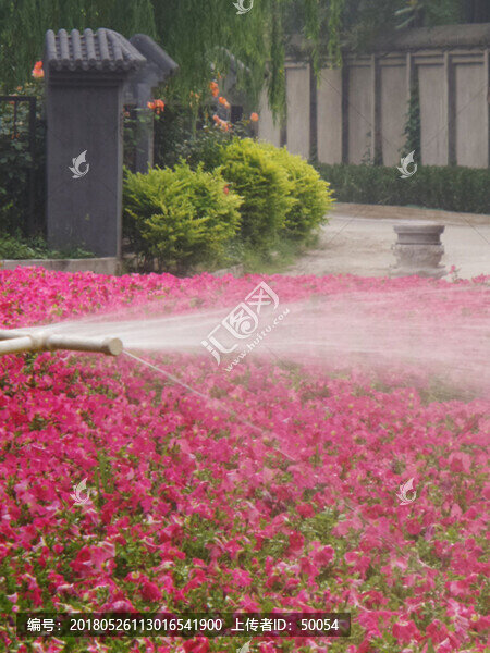 花圃,噴灌