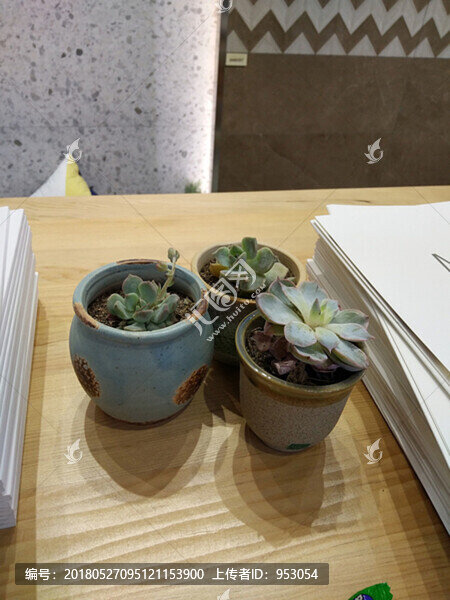 工藝品,瓷器,擺設(shè),餐具,雕