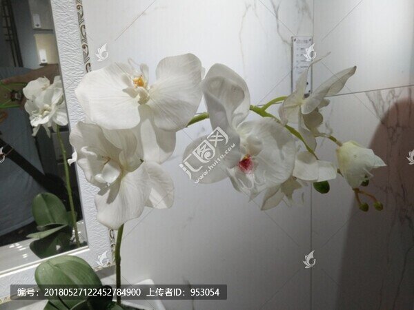 工藝品,瓷器,擺設(shè),餐具,雕