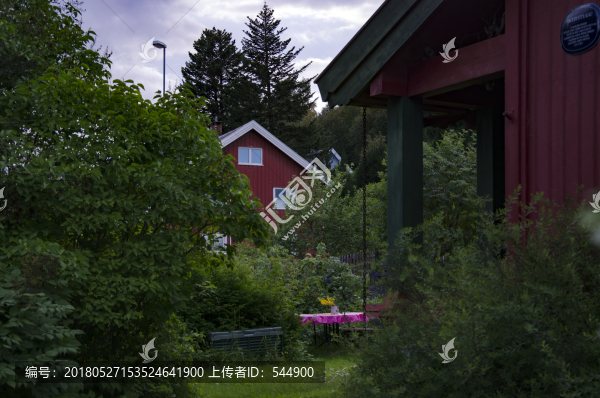 小屋,樹木,草坪