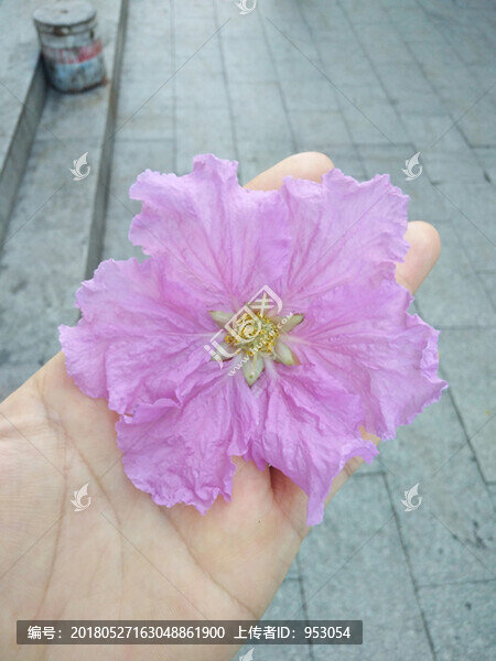 花