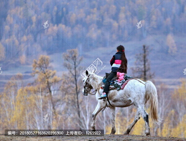 躍馬揚(yáng)鞭