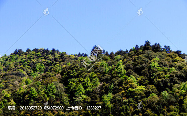 梵凈山