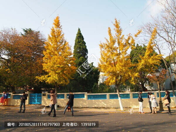 青島市,海濱風(fēng)光,八大關(guān)