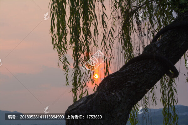 夕陽