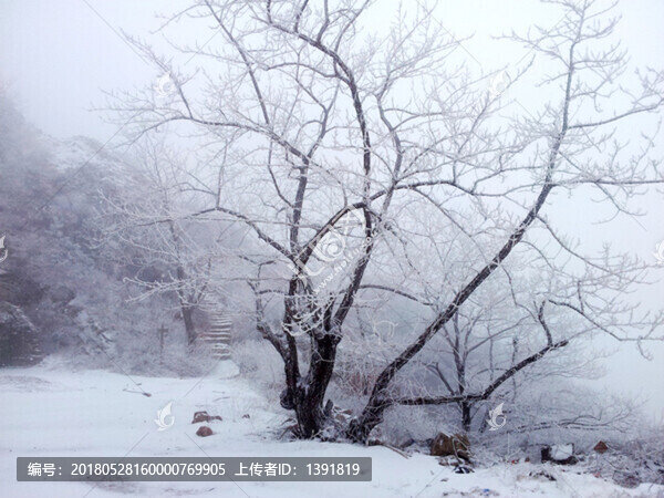 青島市,城陽,三標山,雪景霧凇