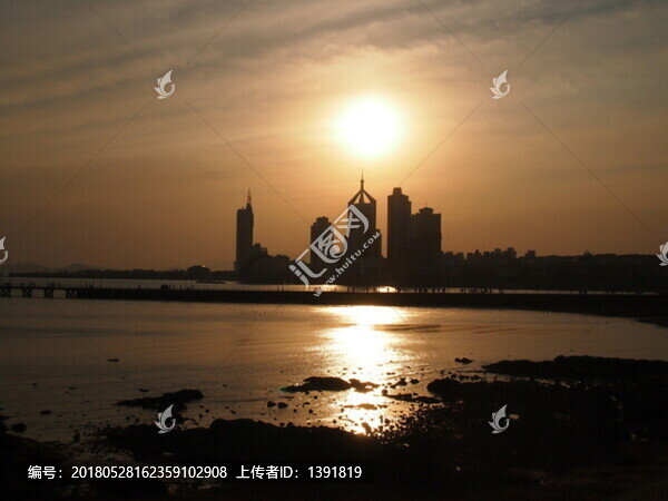 青島市,海濱風(fēng)光,海鷗