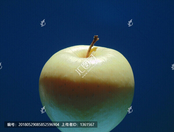 蘋(píng)果素材