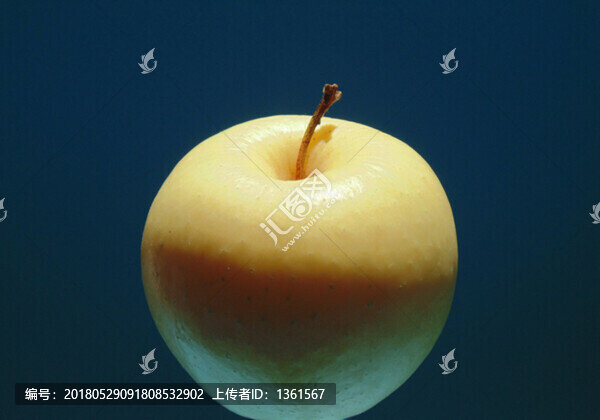 蘋果圖片