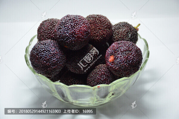楊梅,楊梅素材