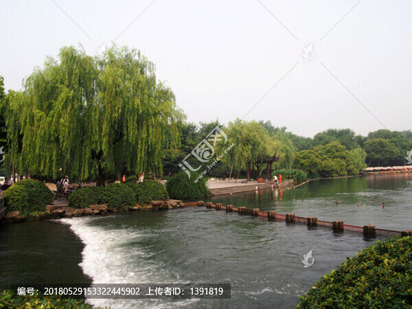 杭州市,西湖景區(qū),花港觀魚