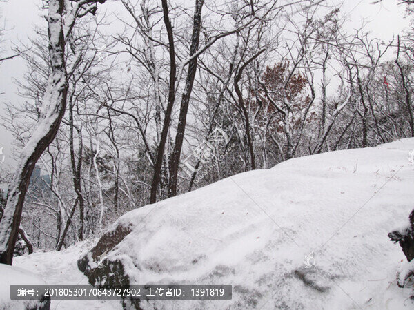 青島市,植物園,太平山,雪景