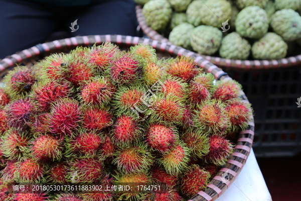 紅毛丹